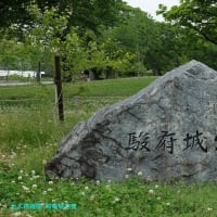 【京都発幕間旅情】駿府城,静岡県都城郭遺構は2009年駿河湾地震乗り越え二ノ丸坤櫓を復元