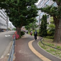 宮城野原案内人の会主催「仙石線　消えた踏切を巡る①」に参加しました