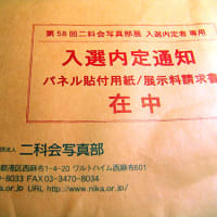 第95回二科展