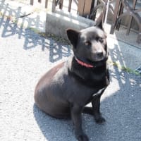 絶対に見てはいけない目線