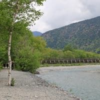 上高地　梓川右岸散策　２０