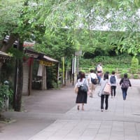 母の日の深大寺　