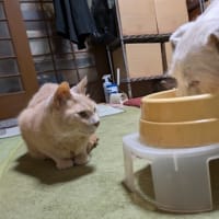 見ないで