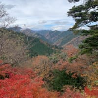 家を建てる、基礎が出来ましたよ‼️