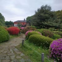 小石川植物園に行って来ました。自然を満喫できて良かったです。