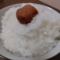 【100円梅干しと…】お粥！
