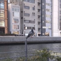 ハッピー兄さんのバック・トゥ・ザ・ナウ！幸せ体操♪