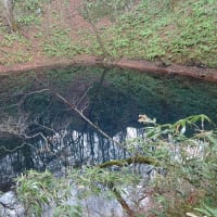 美しい十二湖　青池　(^0_0^)