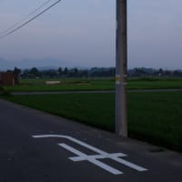 250701　朝間詰めに大山詣で　02　Fujifilm-Digtal Camera X100T
