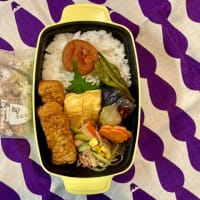 スパイシーステック弁当とグラニーボトムバッグ