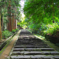 梅雨晴れ
