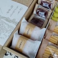 シジュウカラの巣立ち