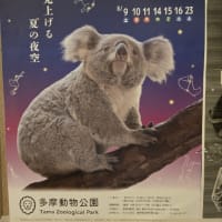 今日いち-2025年6月28日