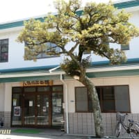 平塚の旧八幡村の小鎮守「八坂神社」