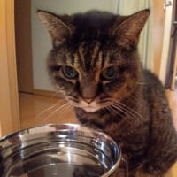 悩む必要は無かろう