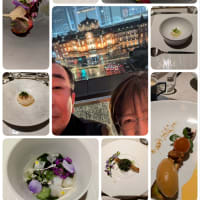 ランス やなぎたて 丸の内 結婚記念日 29