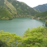  懐かしの関西旅行(25)