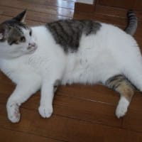 マロたん　意地悪してるん？