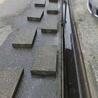 毎年恒例、美化と美花
