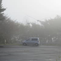 福島県安達郡大玉村:JCG＃07002D:ZA-0361