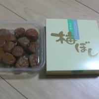 ベルーナ優待届きました。