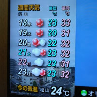 6月17日（火）の気温
