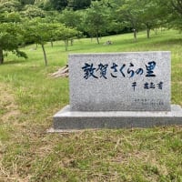  "創業者の思い"消えて　１千本のさくらの里、雑木林状態『福井新聞』240426