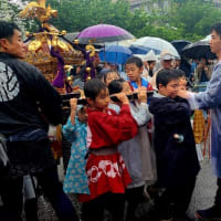 雨の中の三社祭二日目