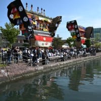 2年ぶりの青柏祭、好天に恵まれ沢山の地元住民や観光客のパワーで曳かれる