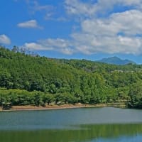 皐月の山上湖風情 その　2
