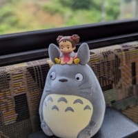 トトロと一緒にバス🚌の旅
