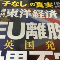 『「子なし」の真実』by週刊東洋経済