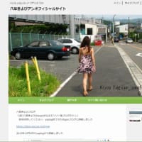 ようやく瀬戸大学公式サイトを作り始めました