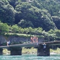 猫の目天気の夏の延長戦なのだ