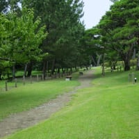 明治記念大磯邸園見学