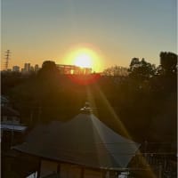 2025年も宜しくお願いいたします。