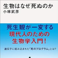 『やってもらって当たり前なことなど何一つない、当たり前って無いんだよ！』原始人君の脳に振り回されていることに気づいて、進化を頭において言語化し続けると組織の中で使う言葉が大きく変わる！
