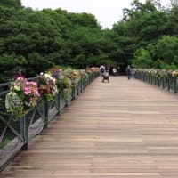 2024初夏の船橋アンデルセン公園へ（5月24日）後編（花の城ゾーンゾーン・ワンパク王国ゾーンほか