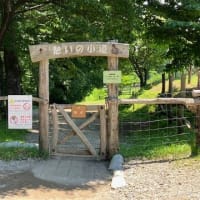 南ヶ丘牧場と優雅な時間