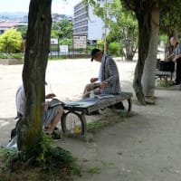 今日は写生会で「仁川・弁天池」へ行きました