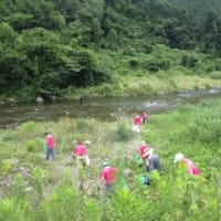 東大芦河川パトロール