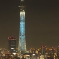 日向坂46の虹開催記念特別ライティング9