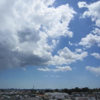 【超緊急】12月1日 プレアデスの極秘計画が始動。人類は4種類に選別されます。あなたは準備できていますか？急いで準備してください！