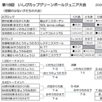 第18回いしびカップグリーンボール結果(3463)