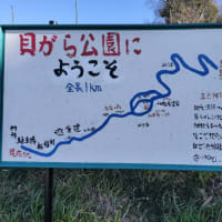 貝がら公園からの富士山