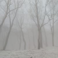 黒倉山　1242ｍ　鍋倉山　1288、8ｍ　残雪