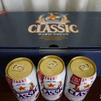 オステオスペルマム／父の日のプレゼント