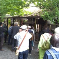 京都史跡探訪、2週続けて宇治へ