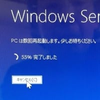 Windows 11 の最小要件を満たしていないマシンを Windows 11 Release Preview バージョン 24H2 にしました。
