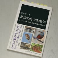 「都会の鳥の生態学」を読む
